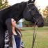 Haley Gassel Named Show Jumping Hall of Fame Rider of the Month